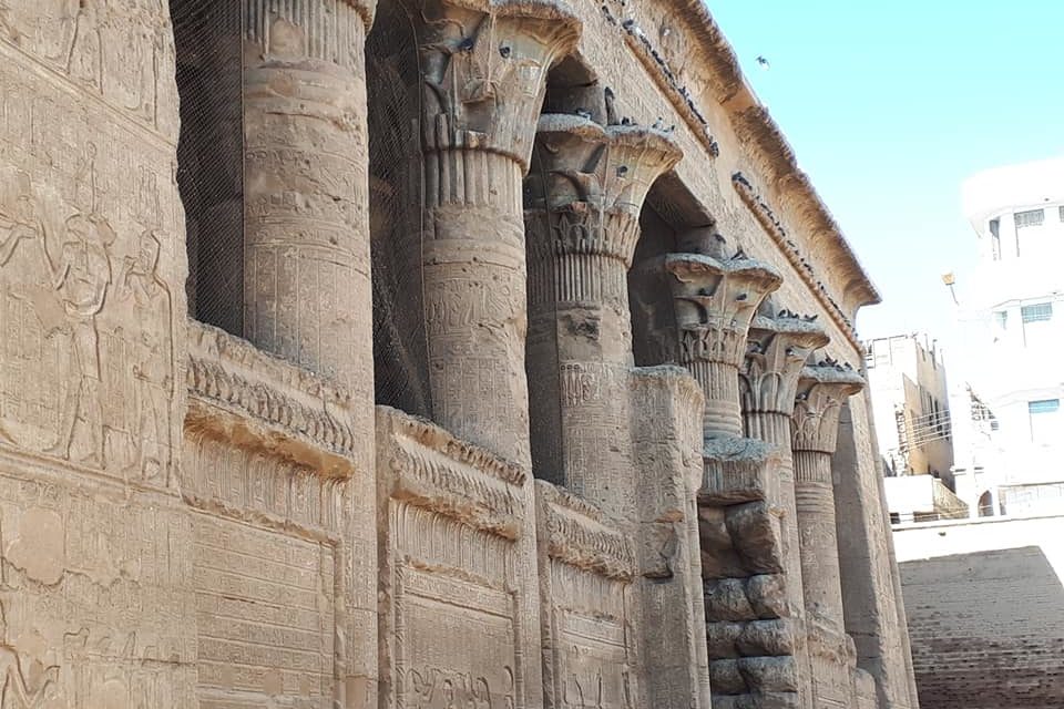 51927898_1859852454142973_7171588656870719488_n