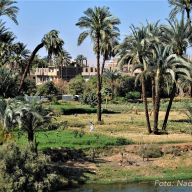 Explore the Nile valley on our dahabiya Nile cruise to El Minya