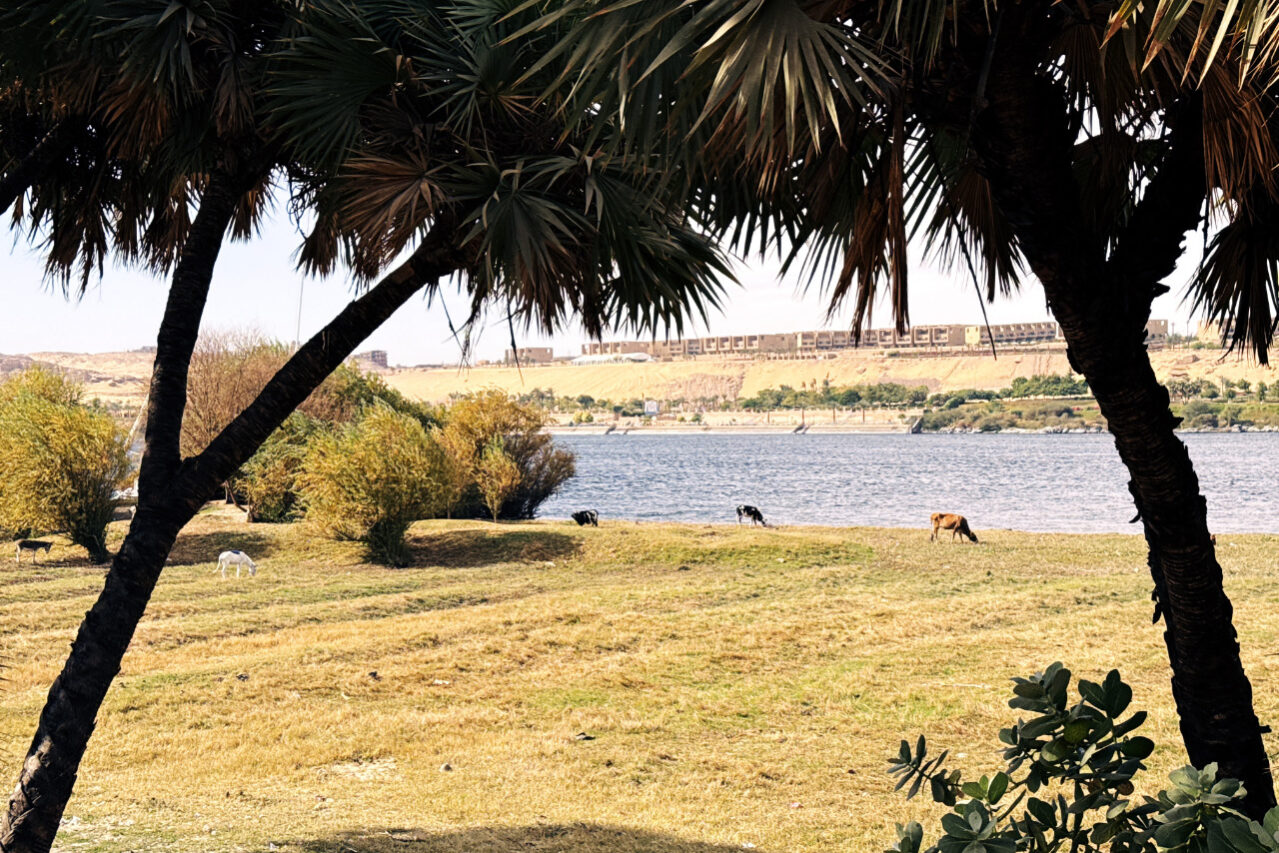 Nile Cruise Dahabiya Luxor to el-Minya