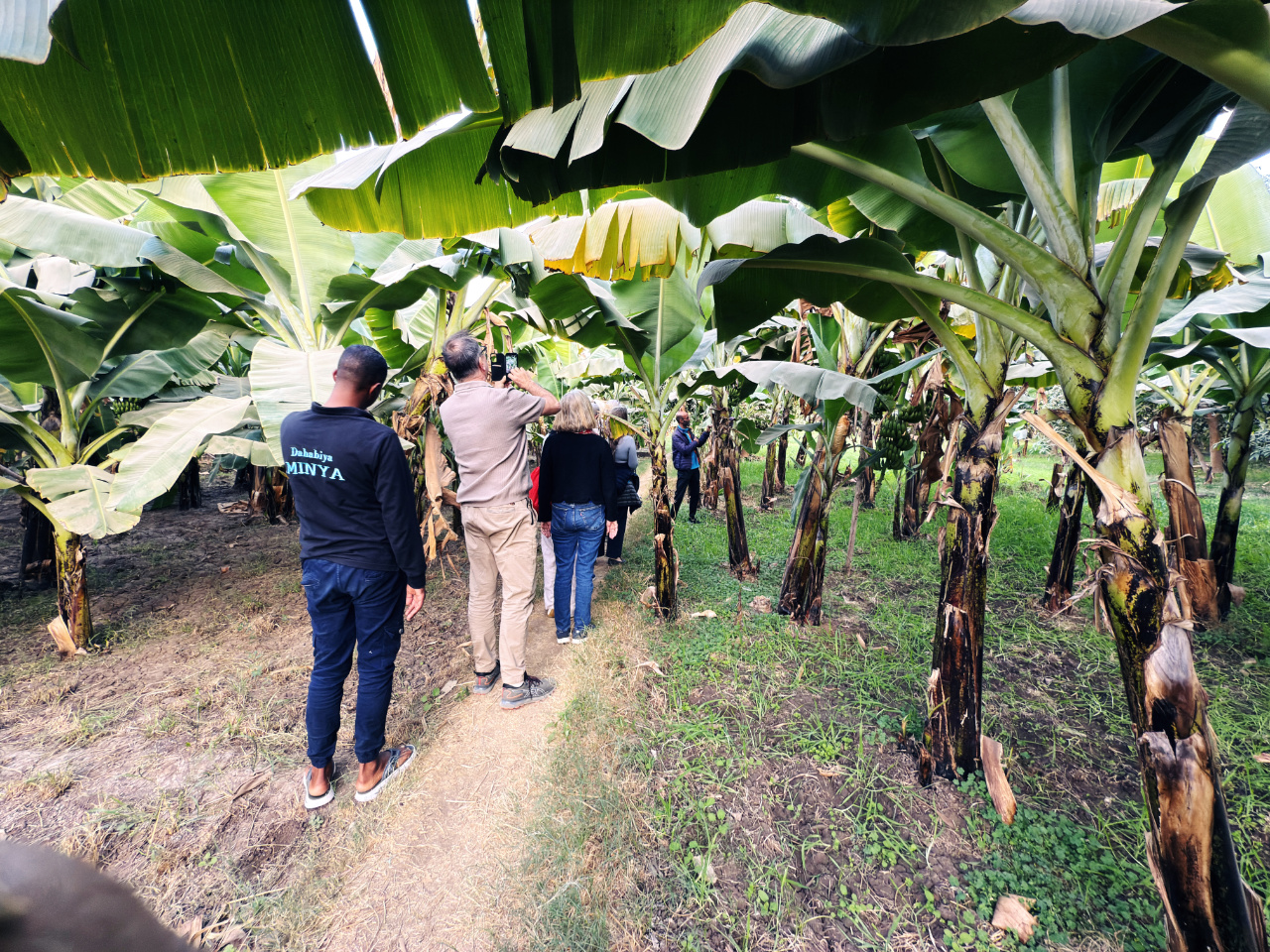 Dahabiya on the Nile - Copyright Willy Leitgeb Visiting a plantage along the Nile - Copyright Willy Leitgeb